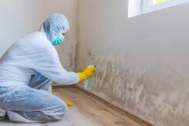 Mold Documentation for Insurance Claims in Beaver Falls, PA